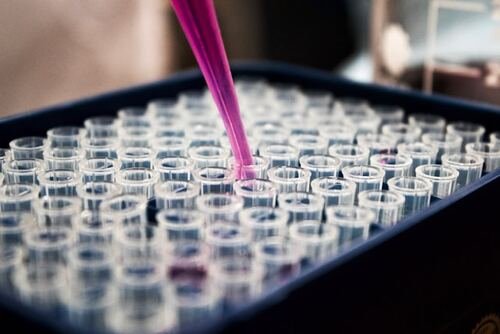 From Lab to Leadership: How a Master’s Degree Transforms Medical Laboratory Professionals lab